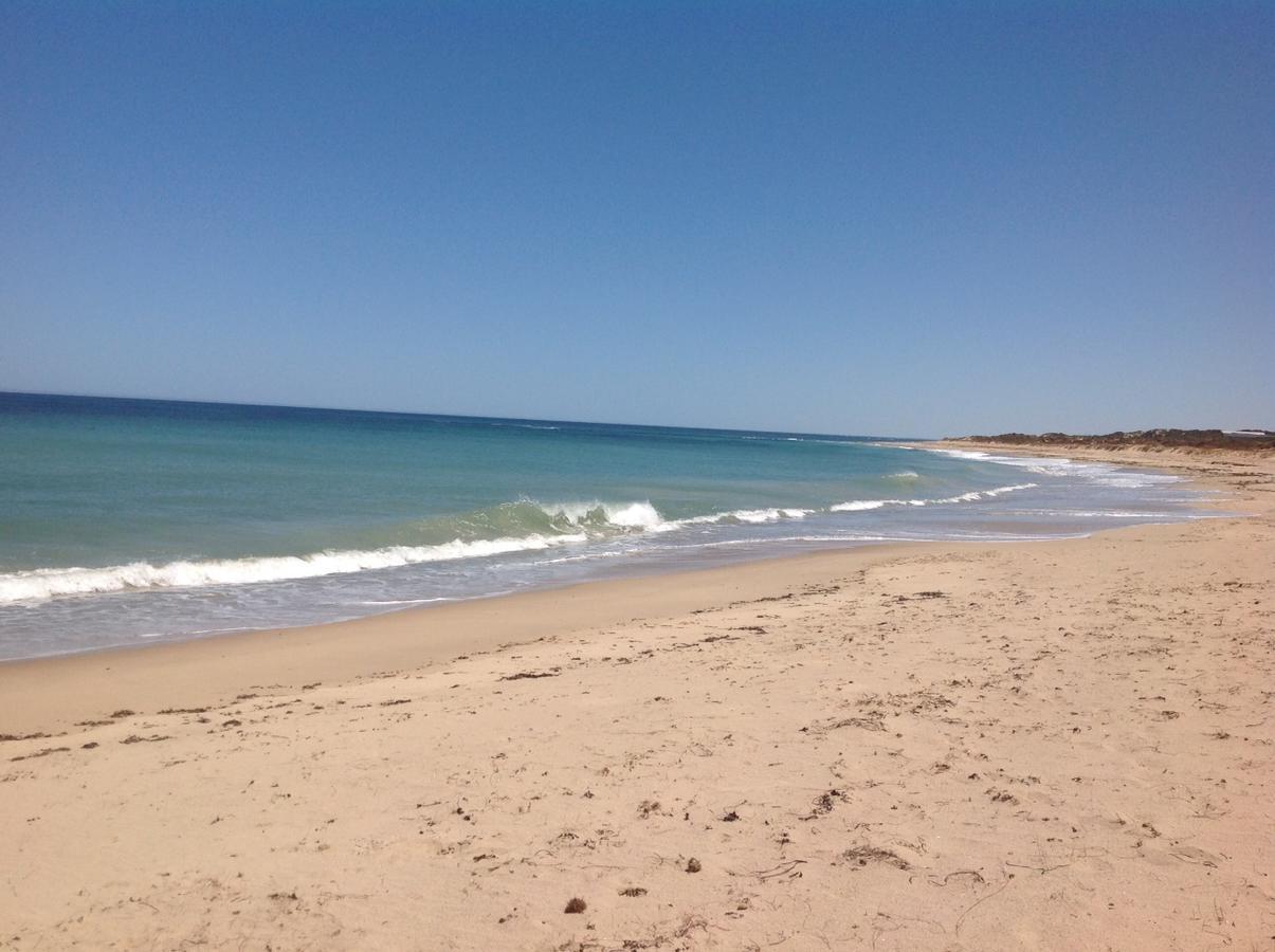Seaspray Beach Holiday Park Dongara Εξωτερικό φωτογραφία